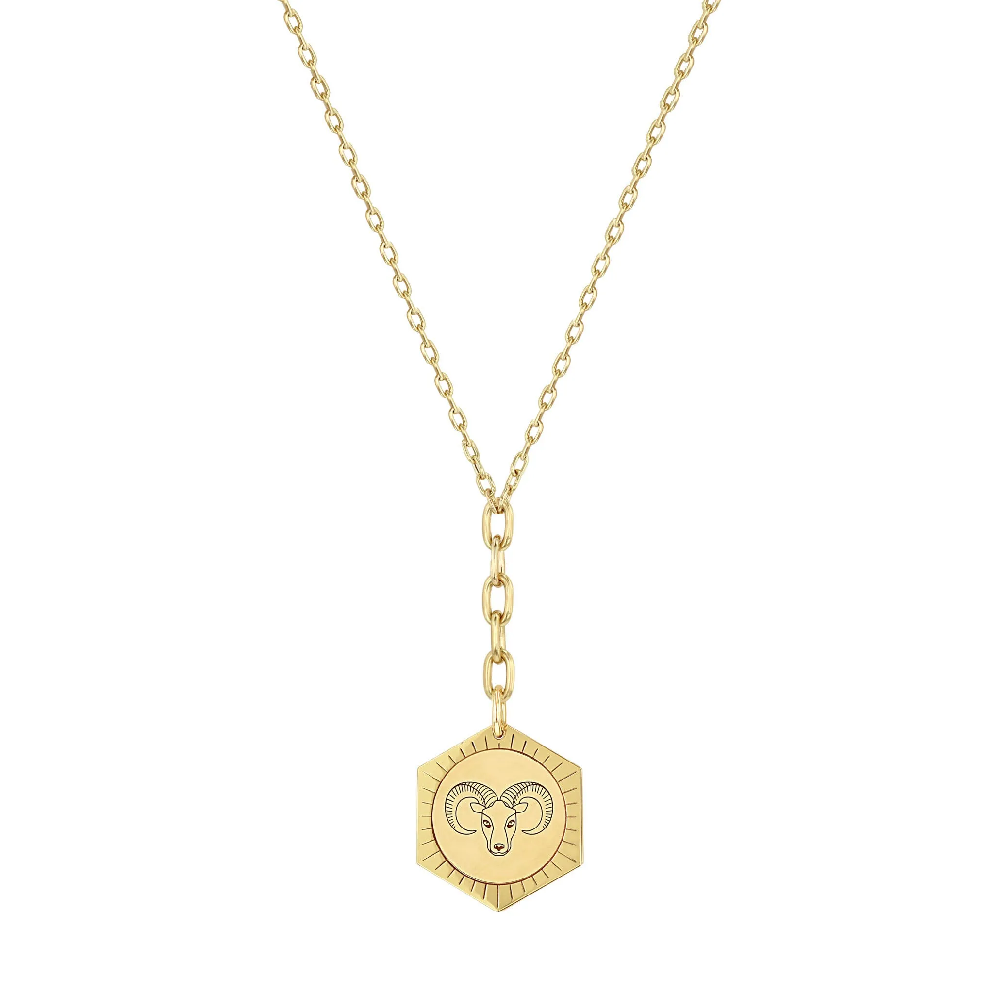 14k Animal Hexagon Medallion Lariat Necklace on Mixed Square Oval Chain