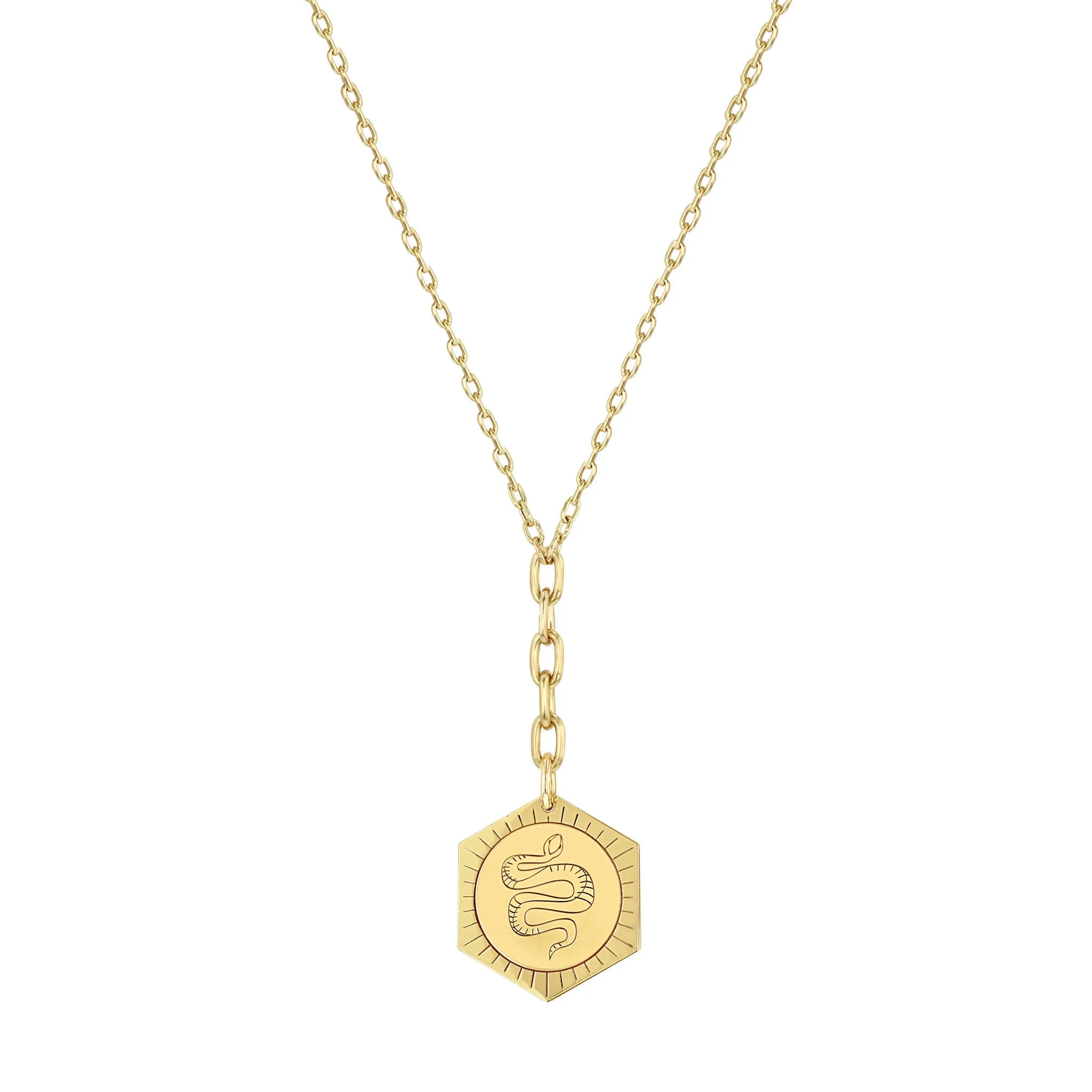 14k Animal Hexagon Medallion Lariat Necklace on Mixed Square Oval Chain