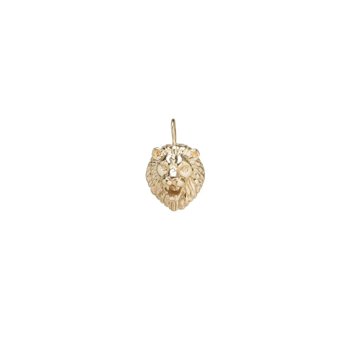 14k Single Lion Head Charm