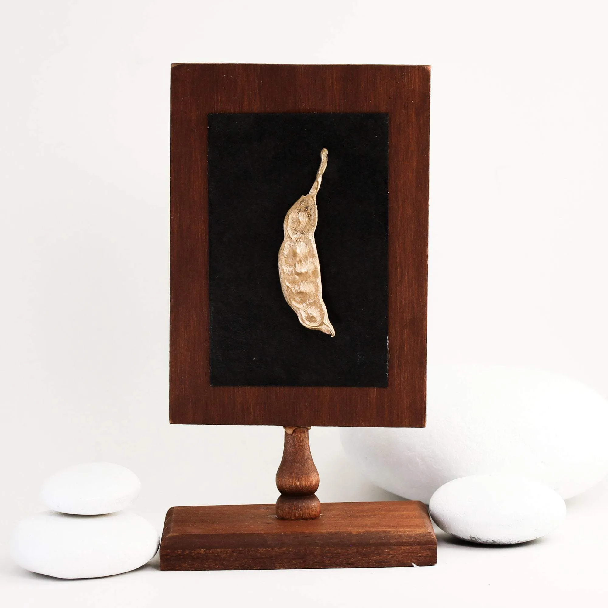 Cast Bronze Desert Mesquite Seed Pods on Plaque