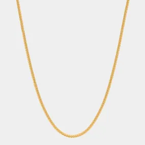 Franco Chain (2mm) - Gold