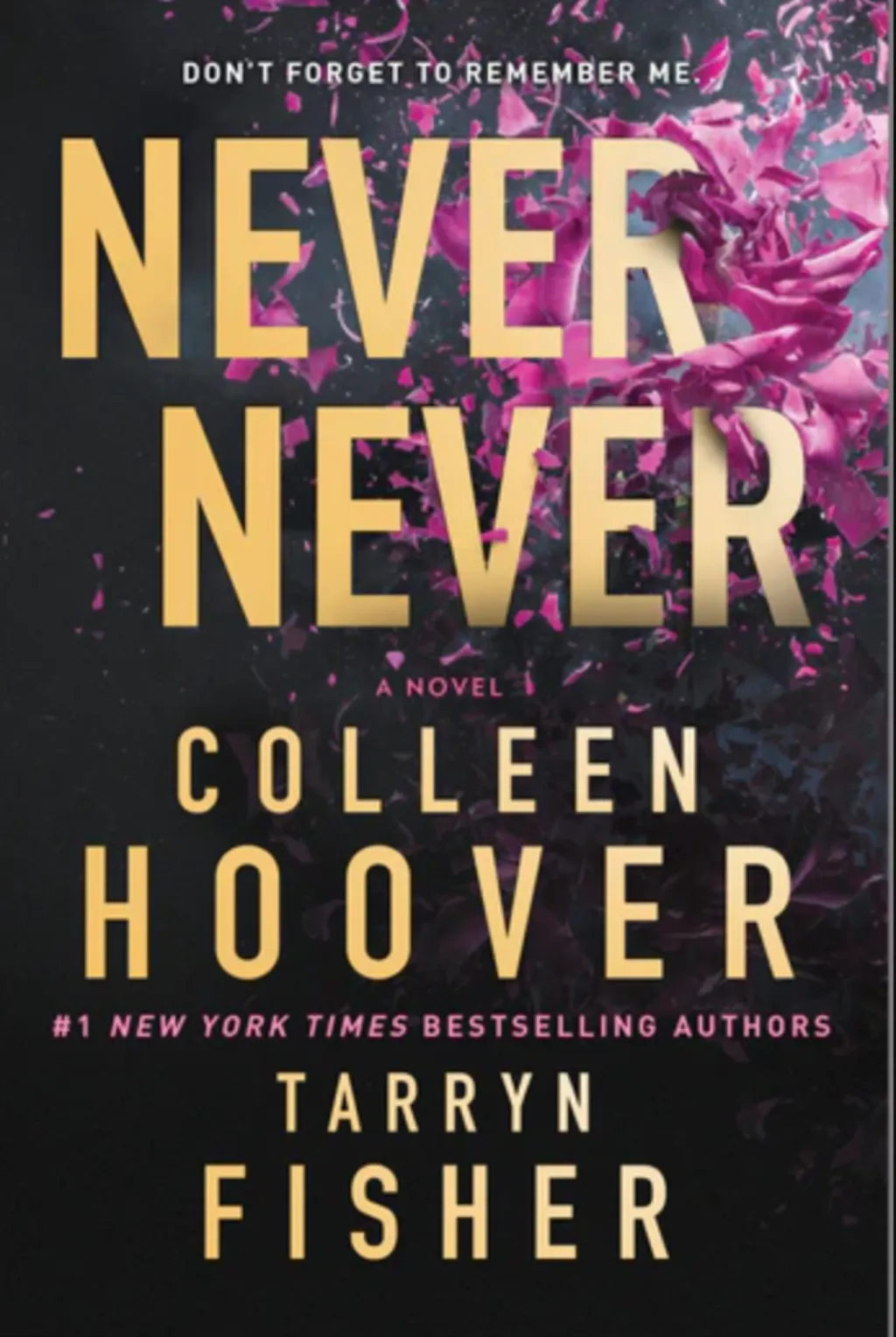 Never Never: A Romantic Suspense Novel of Love and Fate