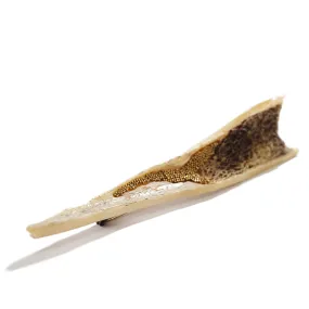 Sterling Silver and Bone Brooch