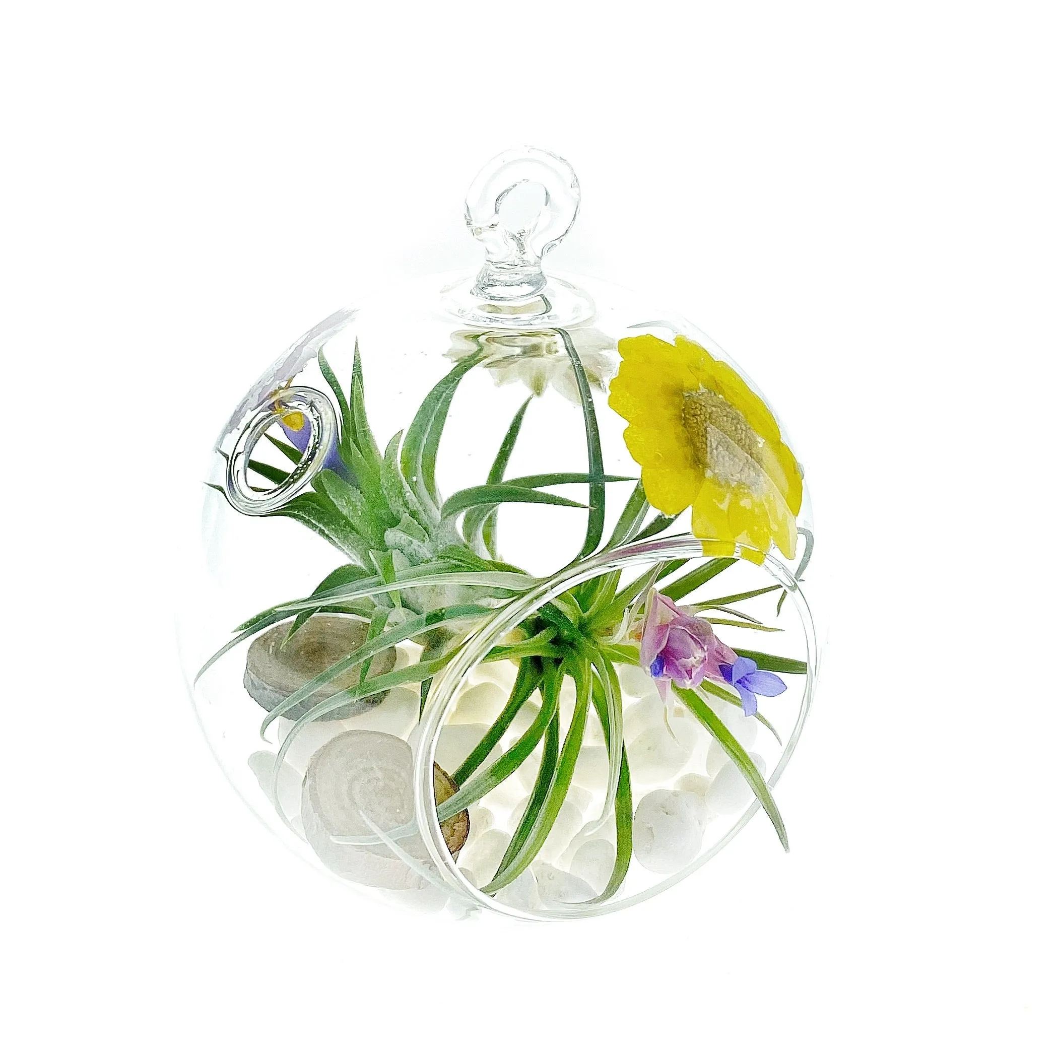 Wild Flowers 3” Bubble Terrarium