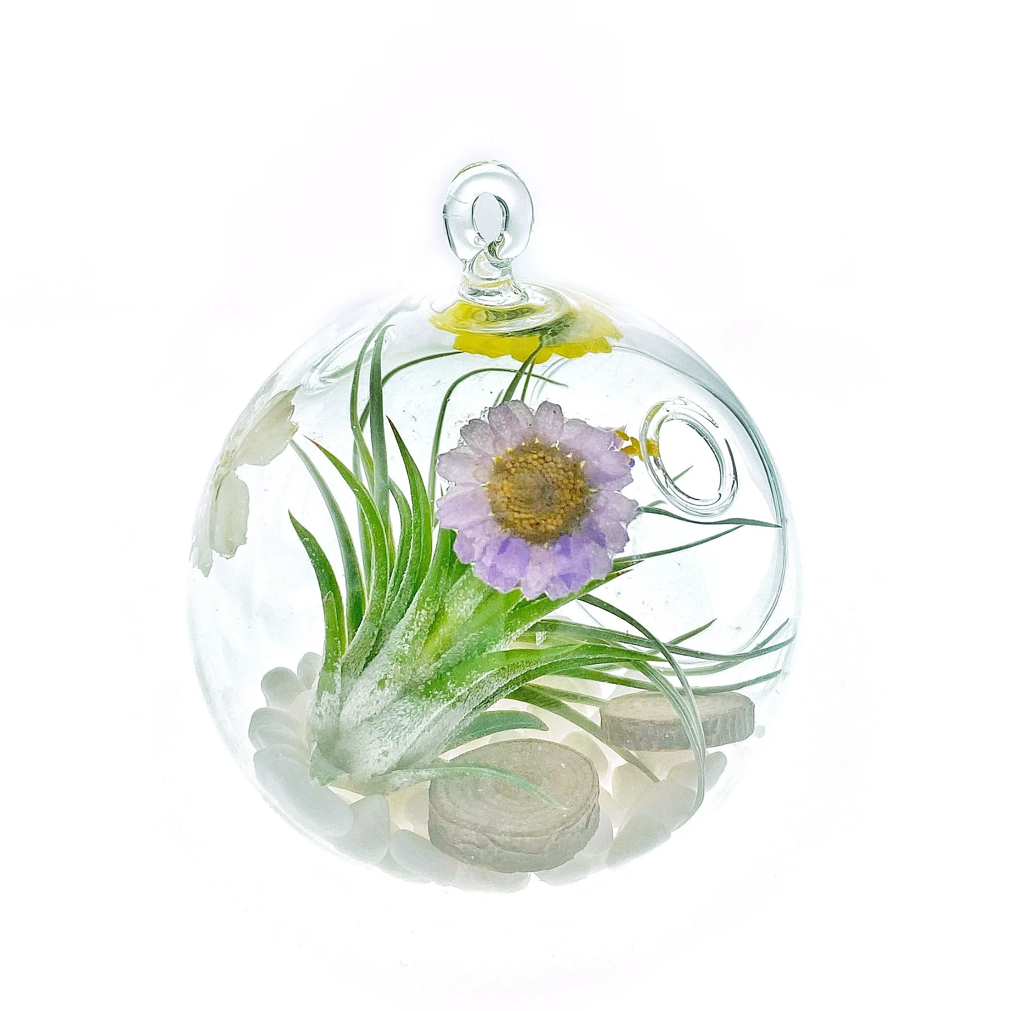 Wild Flowers 3” Bubble Terrarium